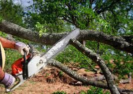 Best Lawn Grading and Leveling  in Merritt Park, NY